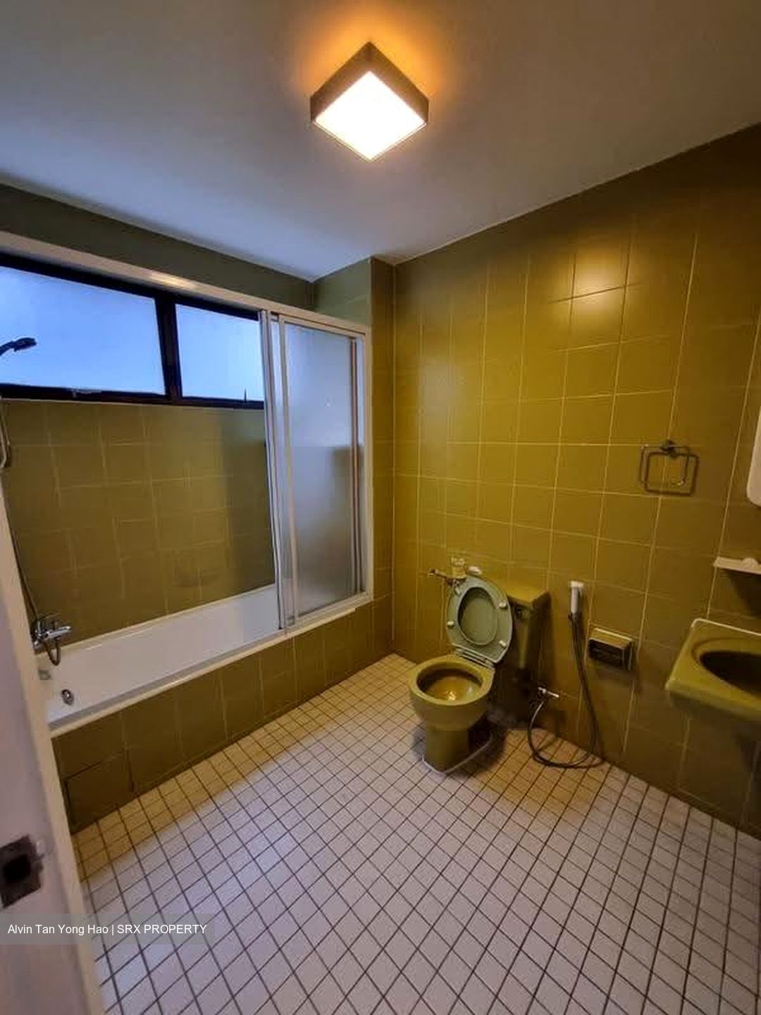The Cairnhill (D9), Condominium #614723211